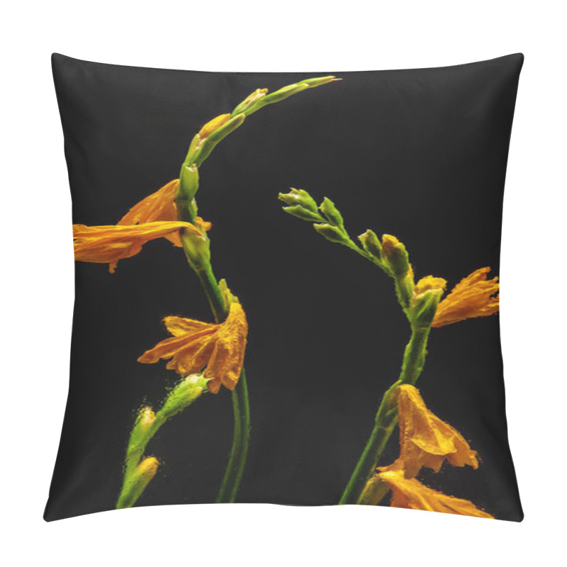 Personality  Beautiful Wet Orange Lilies And Buds On Green Stems Isolated On Black Pillow Covers