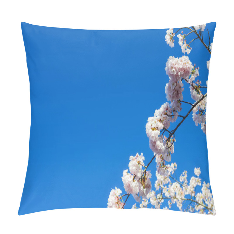 Personality  Close-up Look Up View Of Tree Branch Cherry Blossom Again Clear Blue Sky In Seattle, Washington, America. Full Blooming White Sakura Flowers At Springtime. Pillow Covers