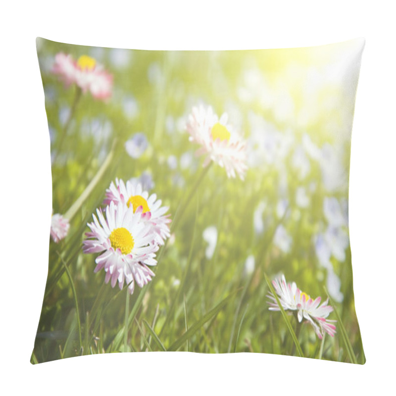 Personality  Daisy Flowers (Shallow DOF) Pillow Covers