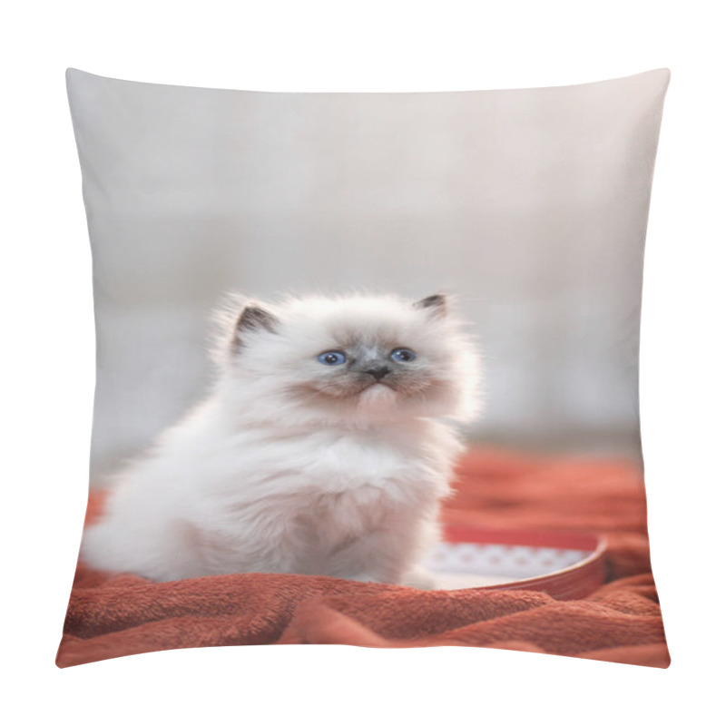 Personality  Cute Kitten With A Heart. Pet On 14 February. Cat Home On A Soft Blanket Pillow Covers