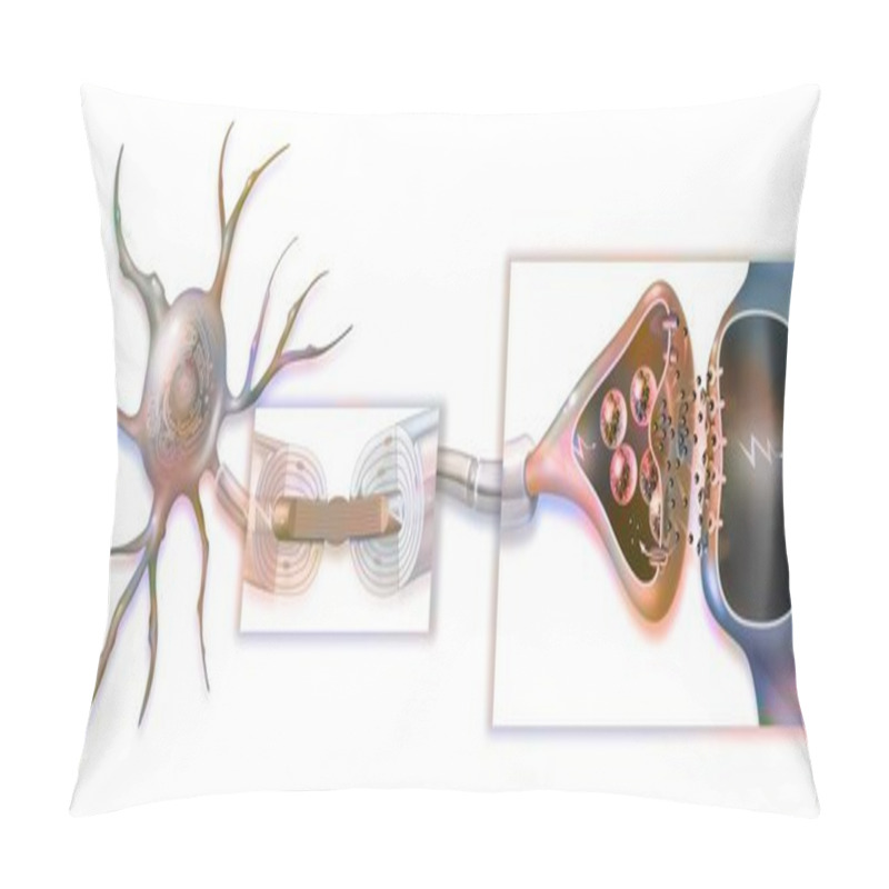 Personality  Transmission Of Nerve Impulses With A Zoom On The Myelin Sheath, Ranvier's Node And The Synapse. Pillow Covers