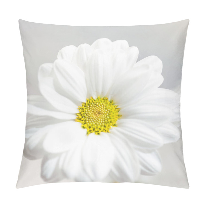 Personality  Spring Flowers Wallpaper. White  Gerbera Flower Or Daisy Flower On Grey Background Close Up Pillow Covers