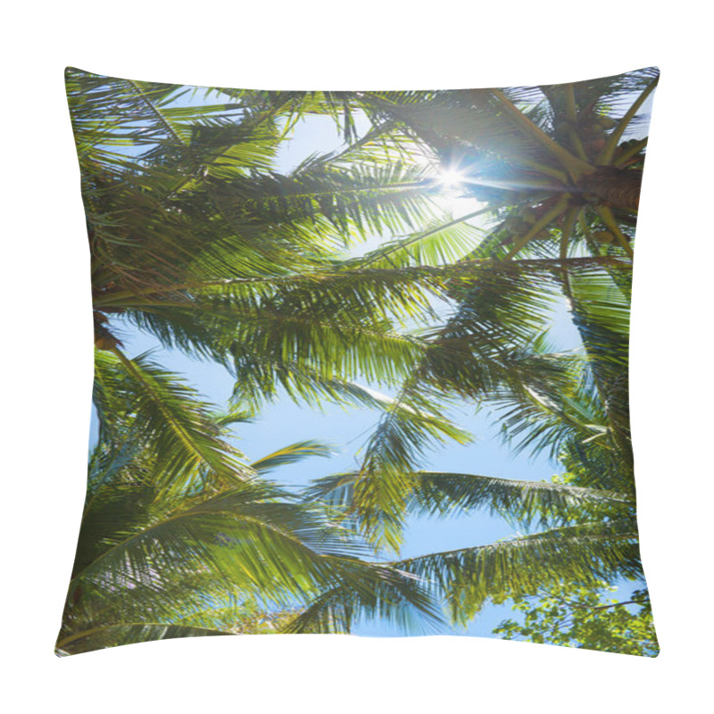 Personality  Tops Of Palm Trees Pillow Covers