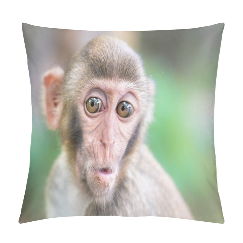 Personality  Picture Of The Macaque Rhesus Babiy Wondering Pillow Covers