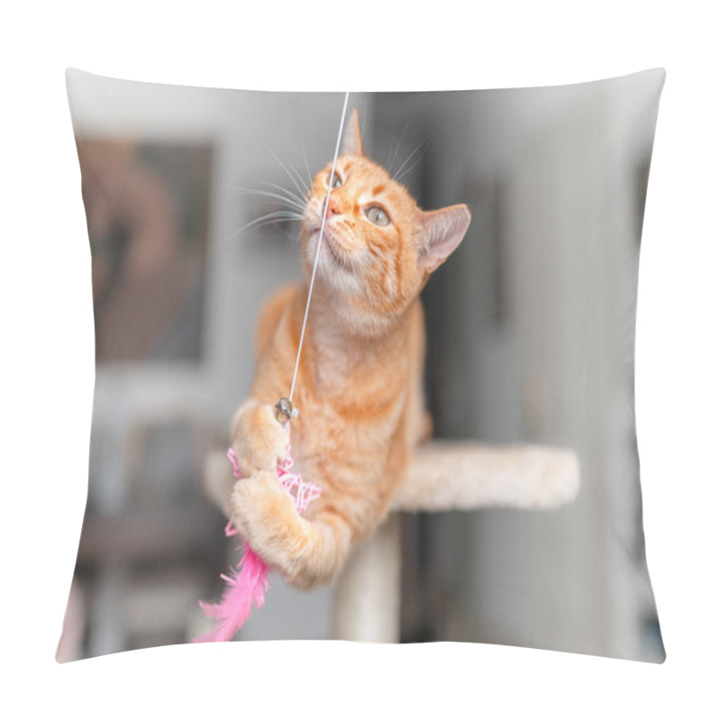 Personality  Brown Tabby Cat With Green Eyes Lying On A Scratching Tower Pillow Covers