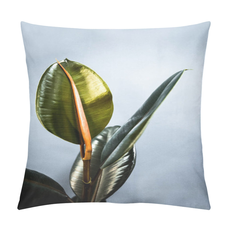 Personality  Exotic Flower With Green Leaves And Red Pod, Close Up, Copy Space Pillow Covers