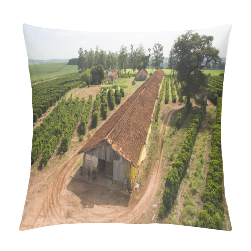 Personality  Chicken Sheds And Coffee Plantation On A Small Property In A Small Brazilian Town  Pillow Covers