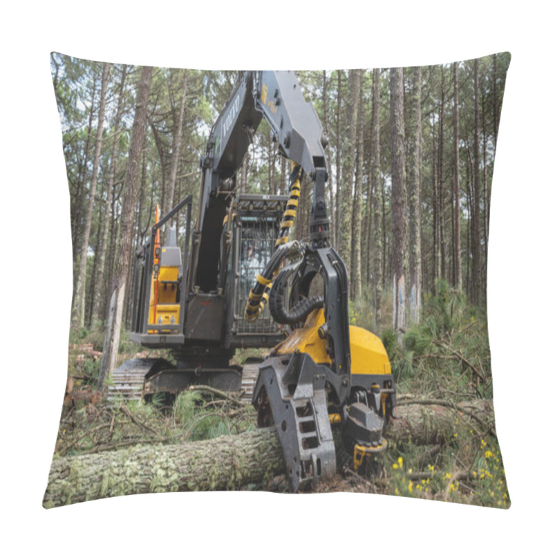 Personality  OVAR, PORTUGAL - 17 FEBRUARY 2022: Pine Forest Felling In The Forest Perimeter Of Dunas De Ovar, Portugal Pillow Covers