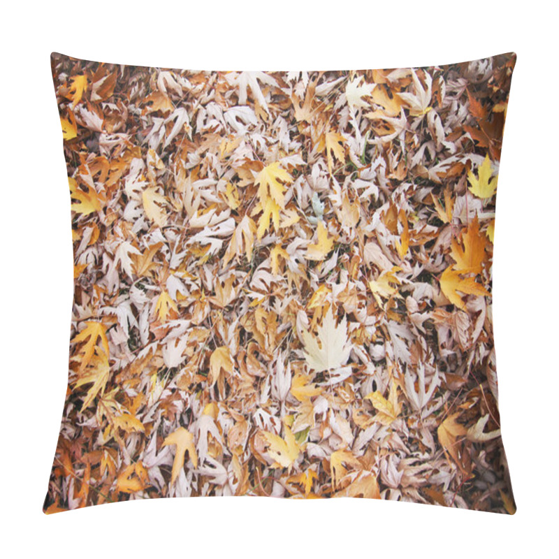 Personality  Autumn Leaves On The Ground Pillow Covers