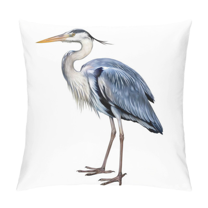 Personality  Gray Heron (Ardea Cinerea), Realistic Drawing, Illustration For Animal And Bird Encyclopedia, Isolated Image On White Background Pillow Covers