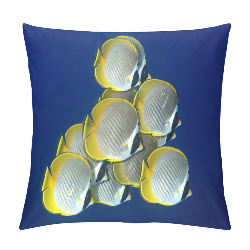 Personality  School Of Butterflyfish Pillow Covers