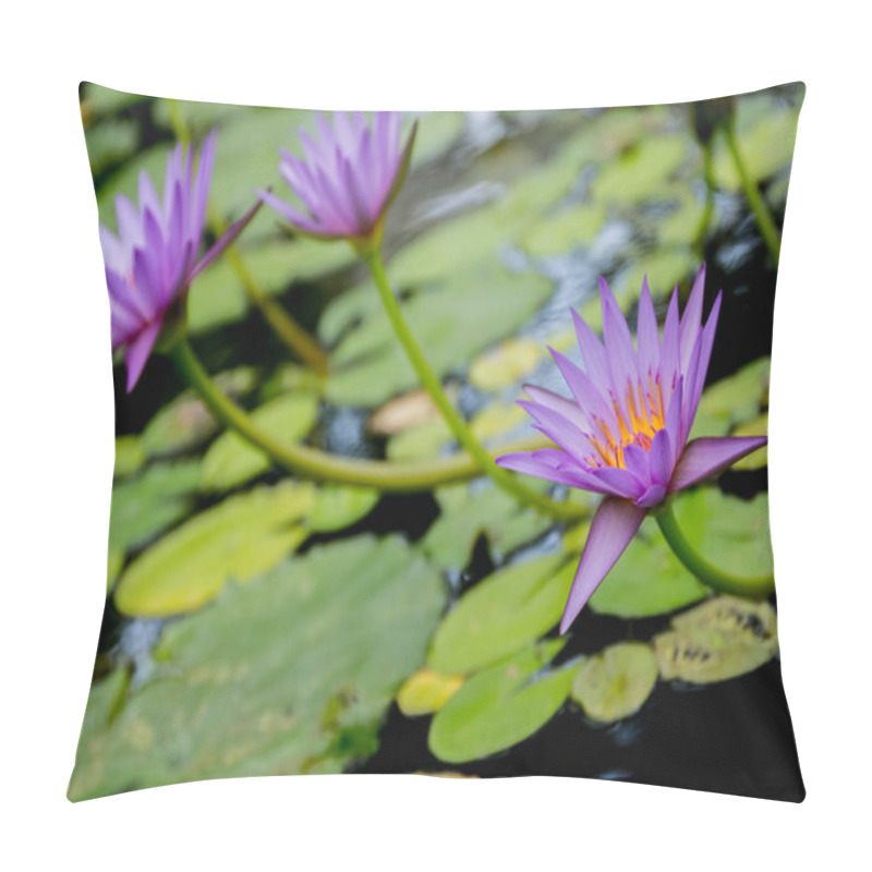 Personality  Water Lily, Water Flower Pillow Covers