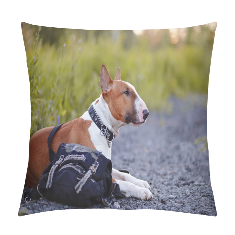 Personality  The Red Bull Terrier Protects A Bag. Pillow Covers