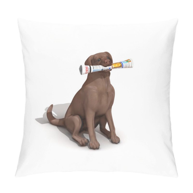 Personality  Dog Bringing Newspaper Pillow Covers