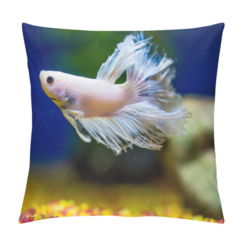 Personality  TheSiamese Fighting Fish(Betta Splendens), Also Known As Thebetta Pillow Covers