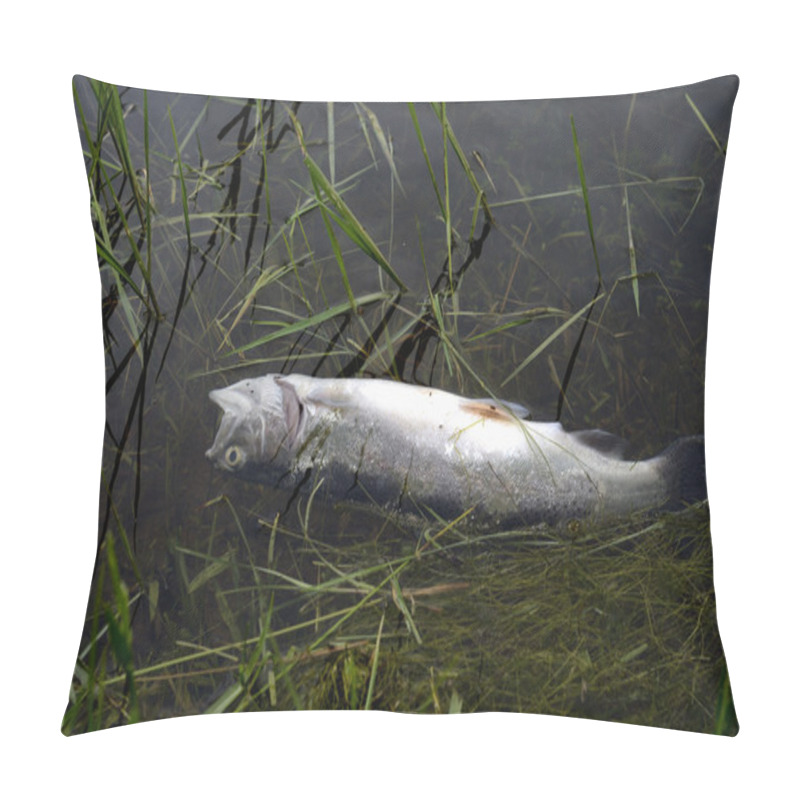 Personality  Toxic Dead Fish In Polluted Water Pillow Covers