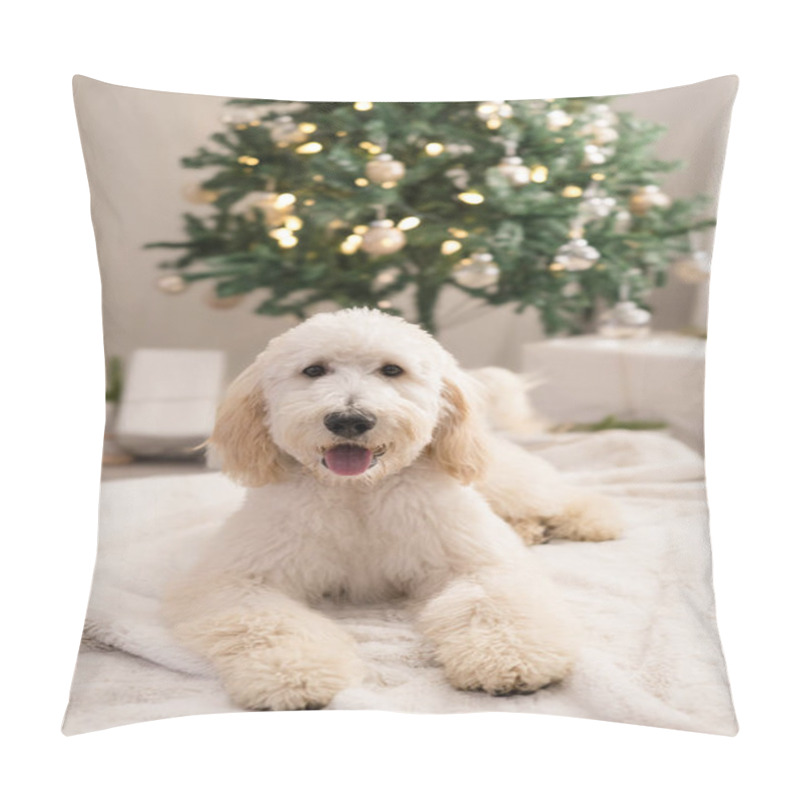 Personality  Dog Laying Down In Front Of Christmas Tree Pillow Covers