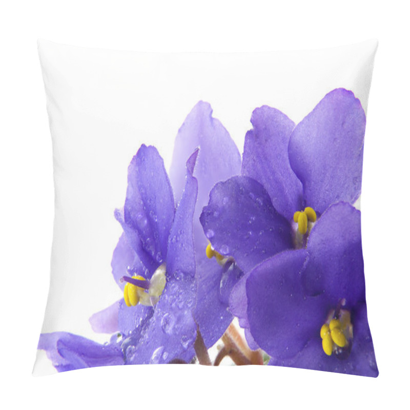 Personality  Violets Flowers With Water Drops Pillow Covers