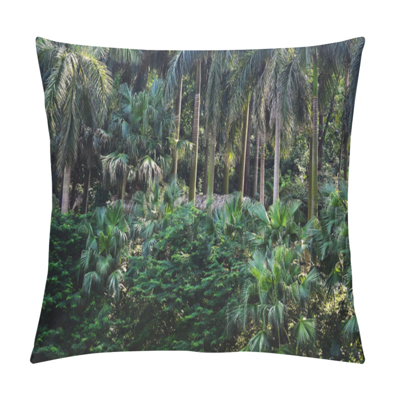 Personality  Tropical Forest Pillow Covers