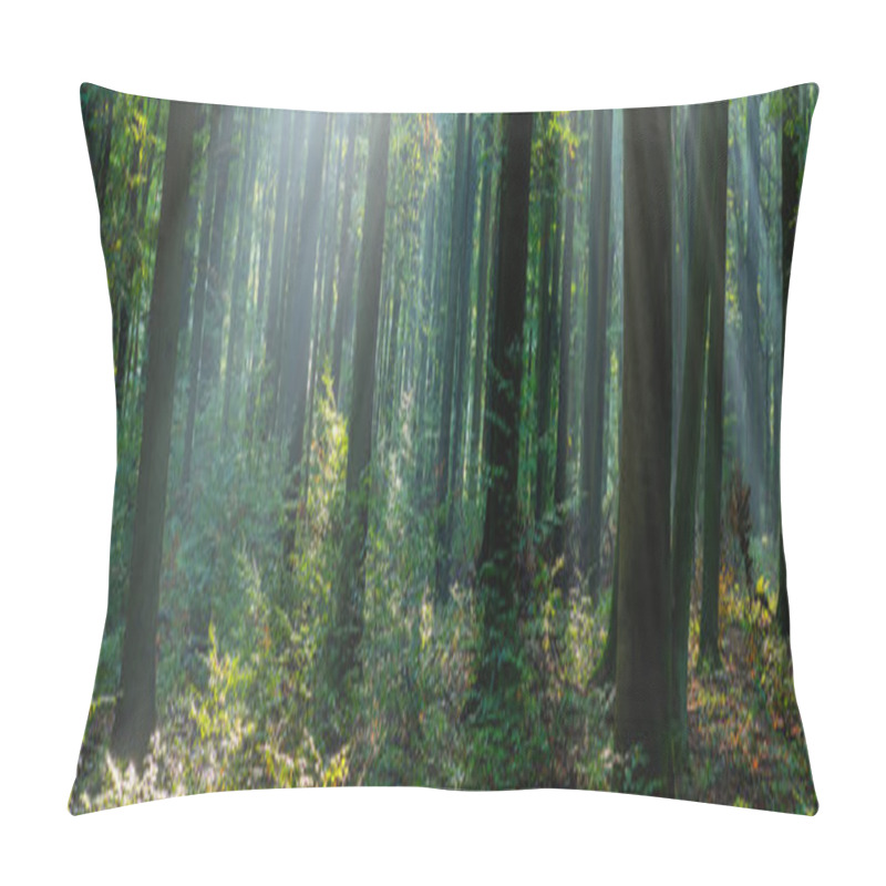 Personality  Beautiful Sunny Morning In The Green Forest Pillow Covers