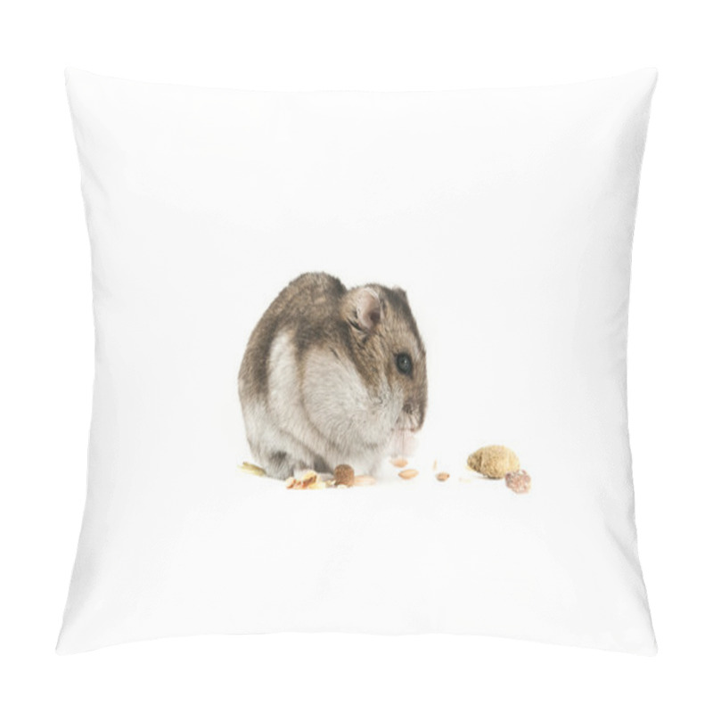 Personality  Hamster Isolated Pillow Covers