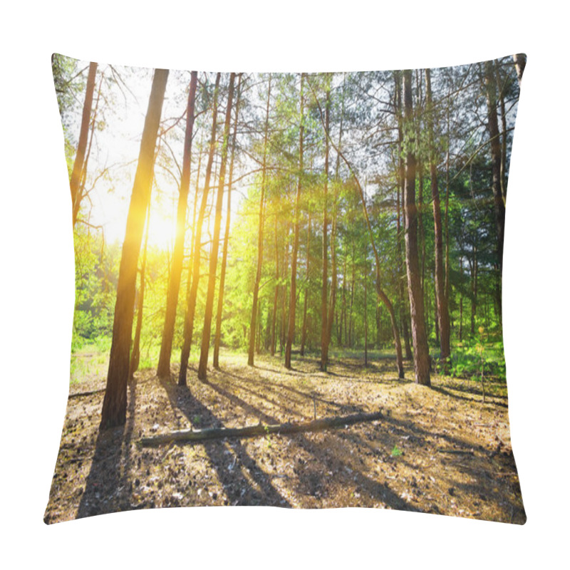 Personality  Dawn In A Pine Forest Pillow Covers