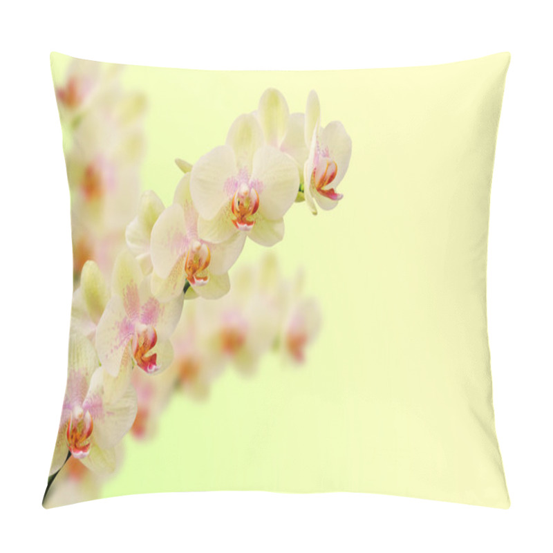 Personality  Bouquet Of Soft Toned Beige Orchid Flowers Pillow Covers