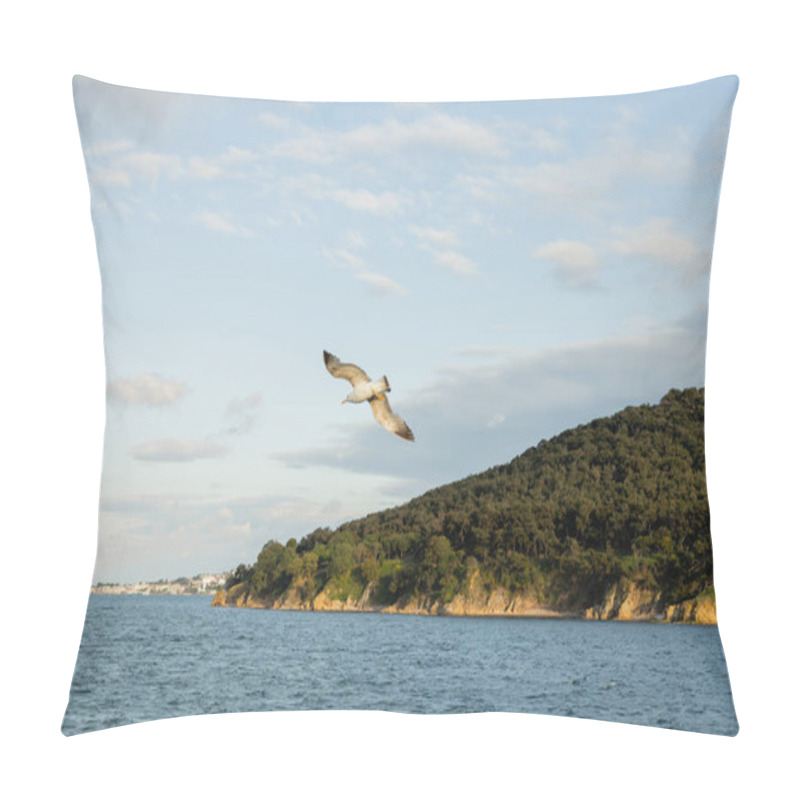 Personality  Gull Flying Above Sea With Princess Islands And Sky At Background In Turkey  Pillow Covers