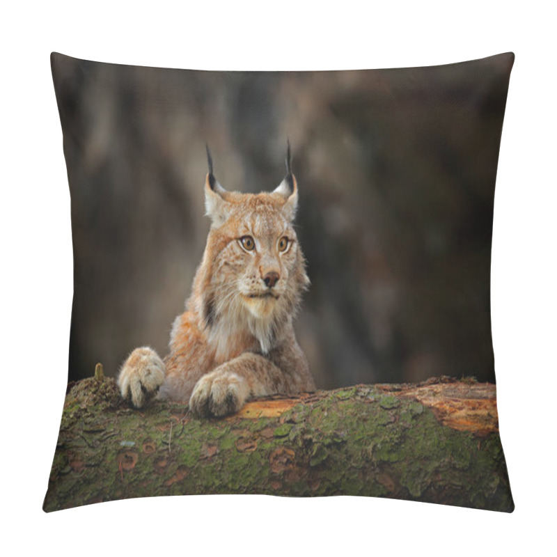 Personality  Lynx In Green Forest With Tree Trunk. Wildlife Scene From Nature. Playing Eurasian Lynx, Animal Behaviour In Habitat. Wild Cat From Germany. Wild Bobcat Between The Trees.  Pillow Covers