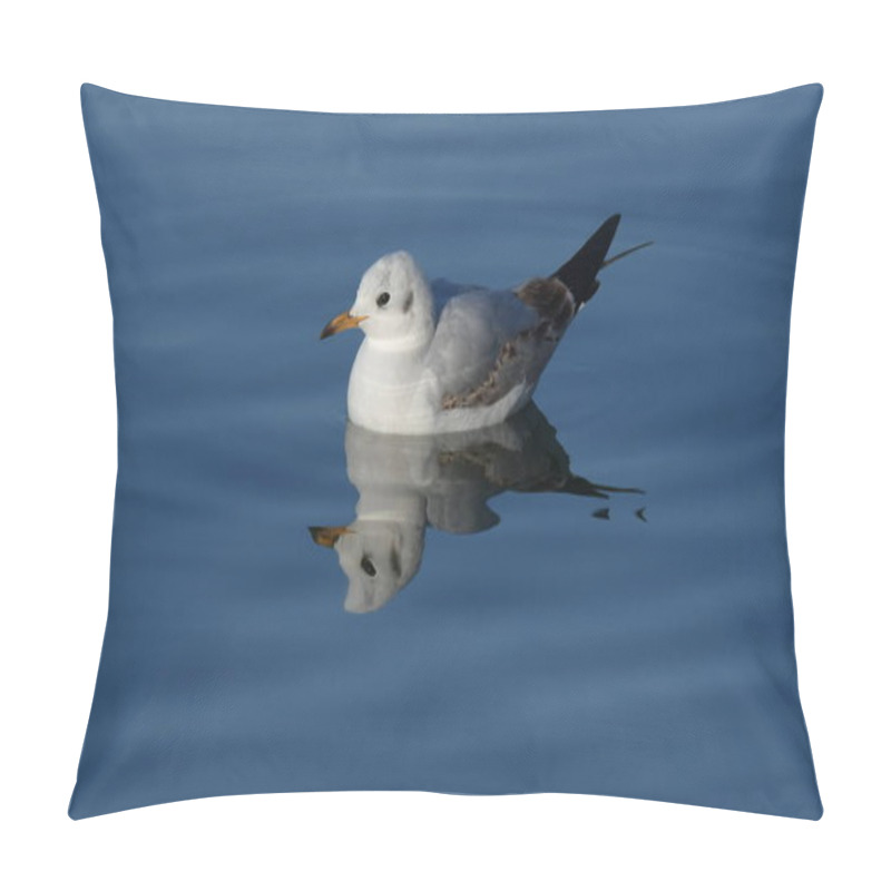 Personality  Black-headed Gull - (Chroicocephalus Ridibundus)  Pillow Covers