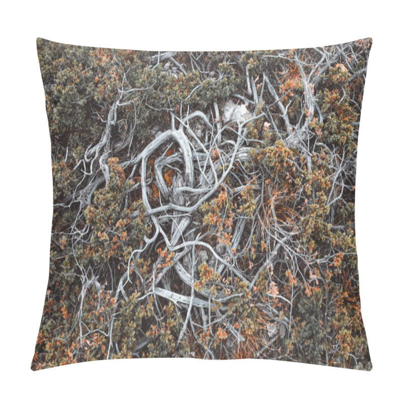 Personality  Naturel Atmospheric Background Of Juniper Roots High In Mountains. Pillow Covers