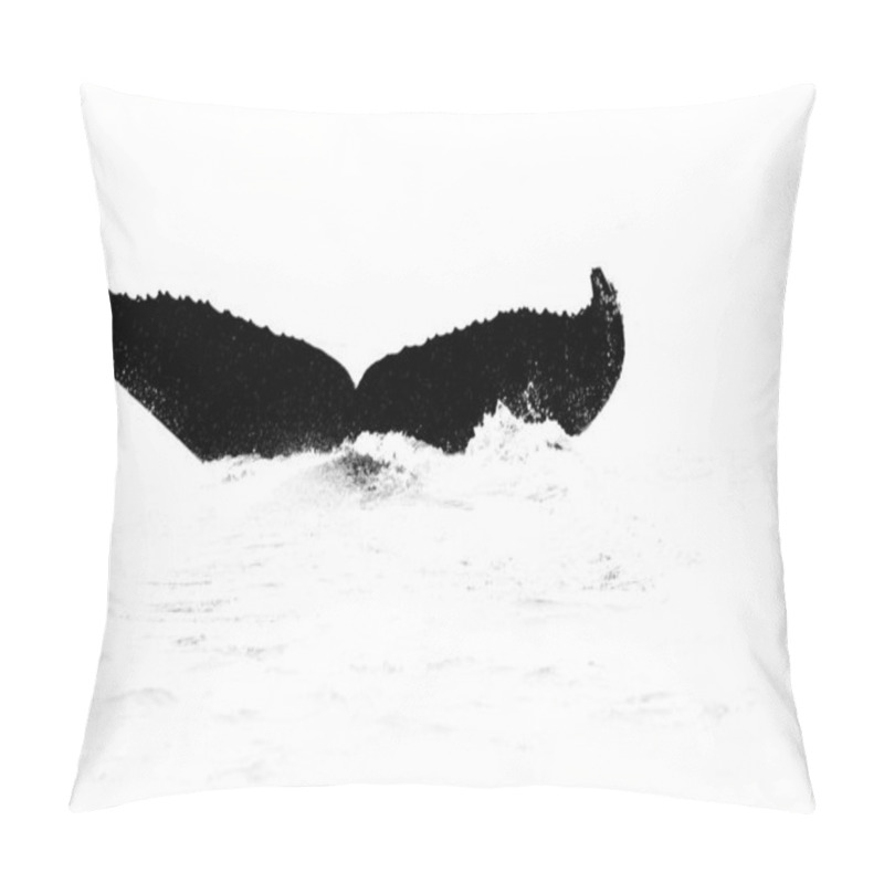 Personality  Black And White Nature Art, Whale And Gull.  Humpback Whale, Megaptera Novaeangliae, Tail Caudal Fin Of Baleen Whale In The Sea Water. Wildlife Scene From Nature, Wild Arctic, Svalbard In Norway. Pillow Covers