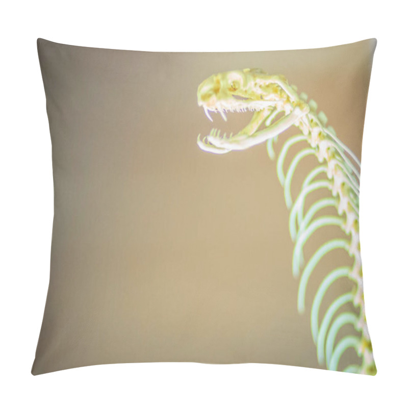 Personality  Snake Skeletons Of Monocled Cobra (Naja Kaouthia), Also Called Monocellate Cobra, Is A Cobra Species Widespread Across South And Southeast Asia. Pillow Covers