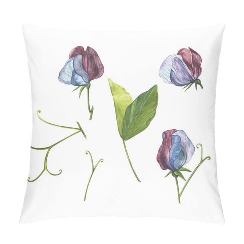 Personality  Watercolor Set Of Sweet Peas Flowers And Leaves, Hand Drawn Floral Illustration Isolated On A White Background. Collection Garden And Wild Herb, Flowers, Branches. Botanical Art. Pillow Covers