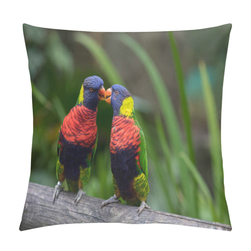 Personality  Two Rainbow Lorikeets Kiss In The Jardin De Balata, Martinique Pillow Covers