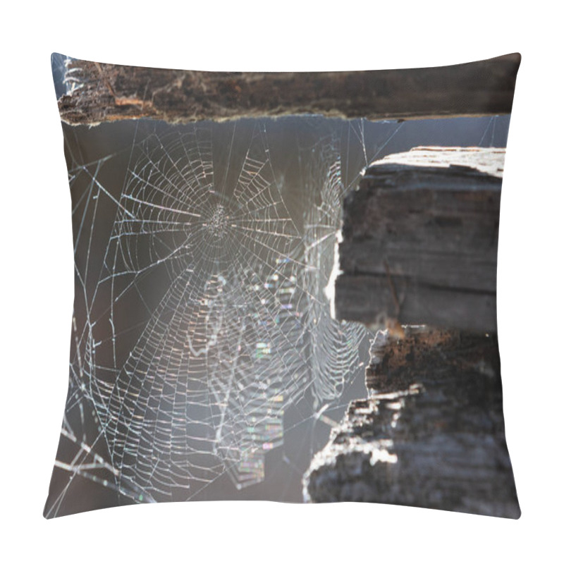 Personality  Cobweb Or Spiderweb On Old Wooden Texture Background Wall  Pillow Covers