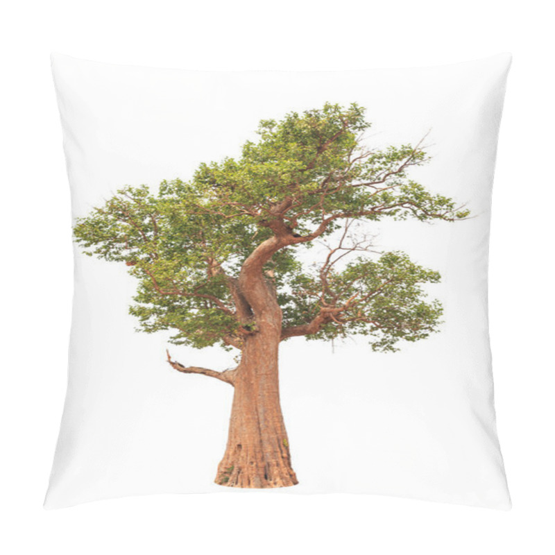 Personality  Irvingia Malayana Also Known As Wild Almond, Old Tropical Tree I Pillow Covers