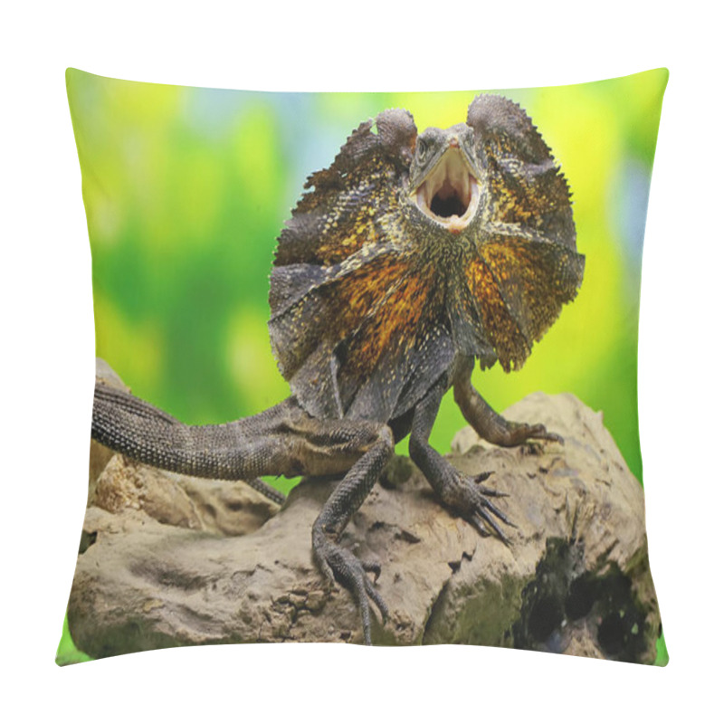 Personality  Soa Payung (Chlamydosaurus Kingii), Also Known As The Frilled Lizard Or Frilled Dragon, Is Showing A Threatening Expression. Pillow Covers