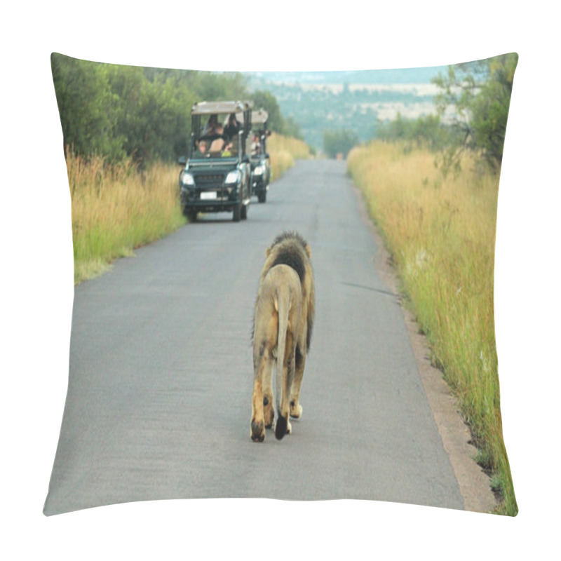 Personality  Lion, Pilanesberg National Park Pillow Covers