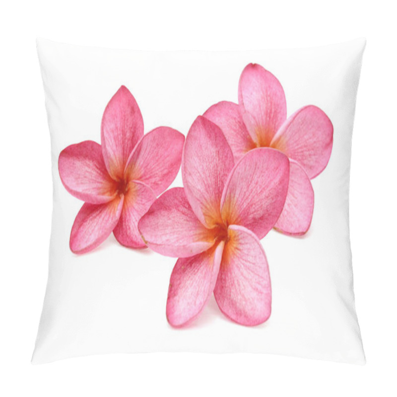 Personality  Beautiful Pink Frangipani Plumeria Flowers  Pillow Covers