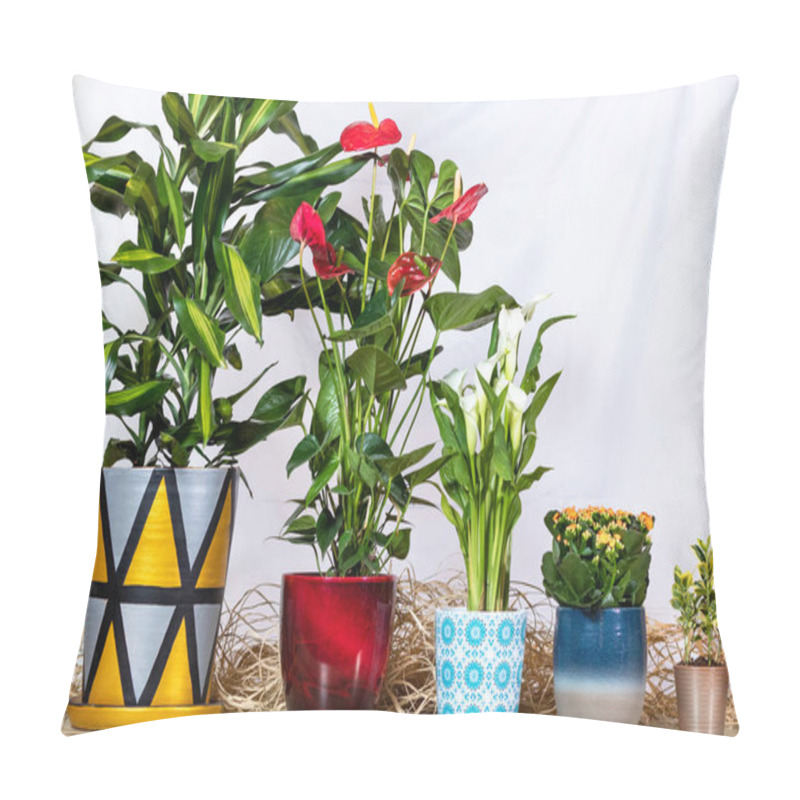 Personality  Dracaena Fragrans Cintho In Hand Painted Pot, Anthurium Laceleaf, Arum Lily, Kalanchoe, Widow's-thrill Pillow Covers