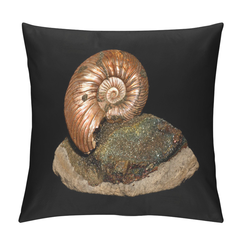 Personality  Ammonites Pillow Covers