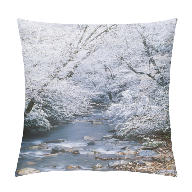 Personality  Great Smoky Mountains Pillow Covers