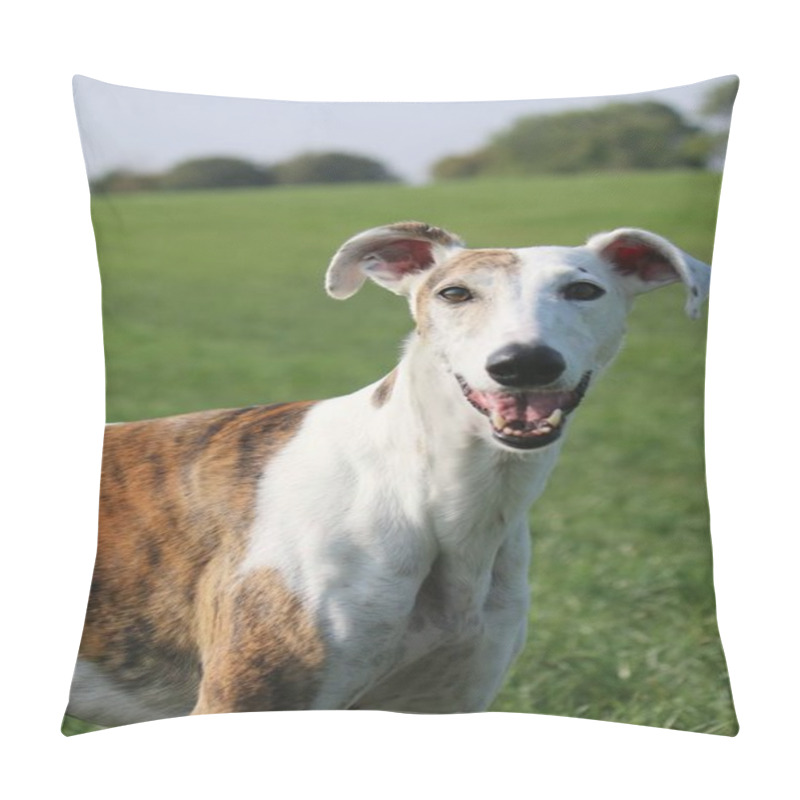 Personality  Funny Smiling Galgo Portrait In The Park Pillow Covers