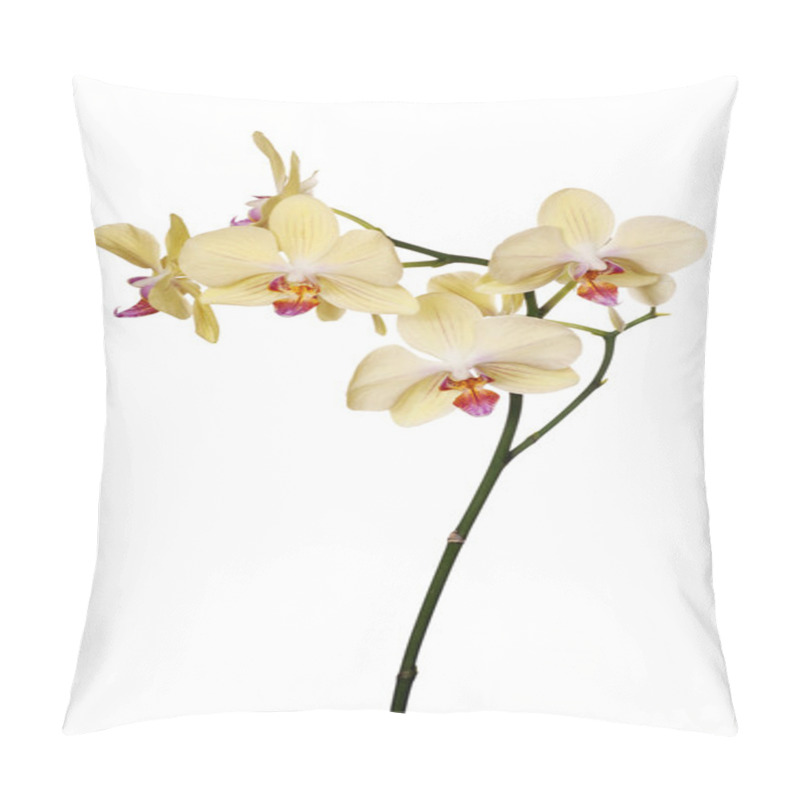 Personality  Branch Of Isolated Yellow Orchids With Red Centers Pillow Covers