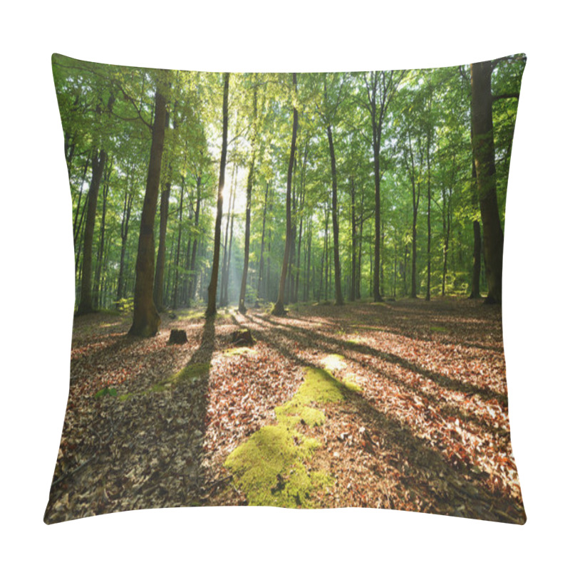 Personality  Autumn Morning In The Forest Pillow Covers