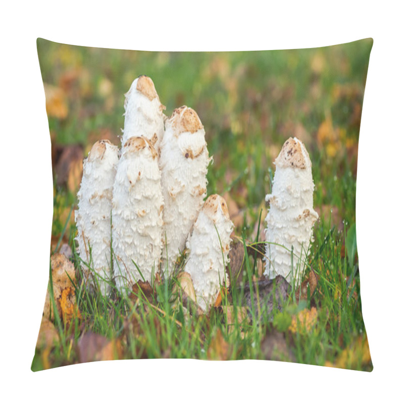 Personality  Shaggy Ink Caps Or Coprinus Comatus Pillow Covers