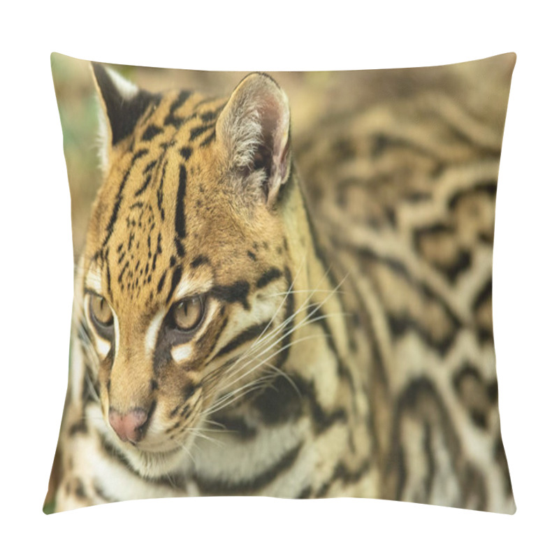 Personality  The Ocelot (Leopardus Pardalis) Is A Medium-sized Spotted Wild Cat That Reaches 4050 Cm  Pillow Covers