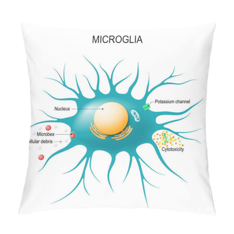 Personality  Anatomy Of A Microglial Cell. Glial Cell Is The Macrophage For Immune Defence The Central Nervous System. Vector Diagram For Educational, Medical, Biological And Science Use Pillow Covers