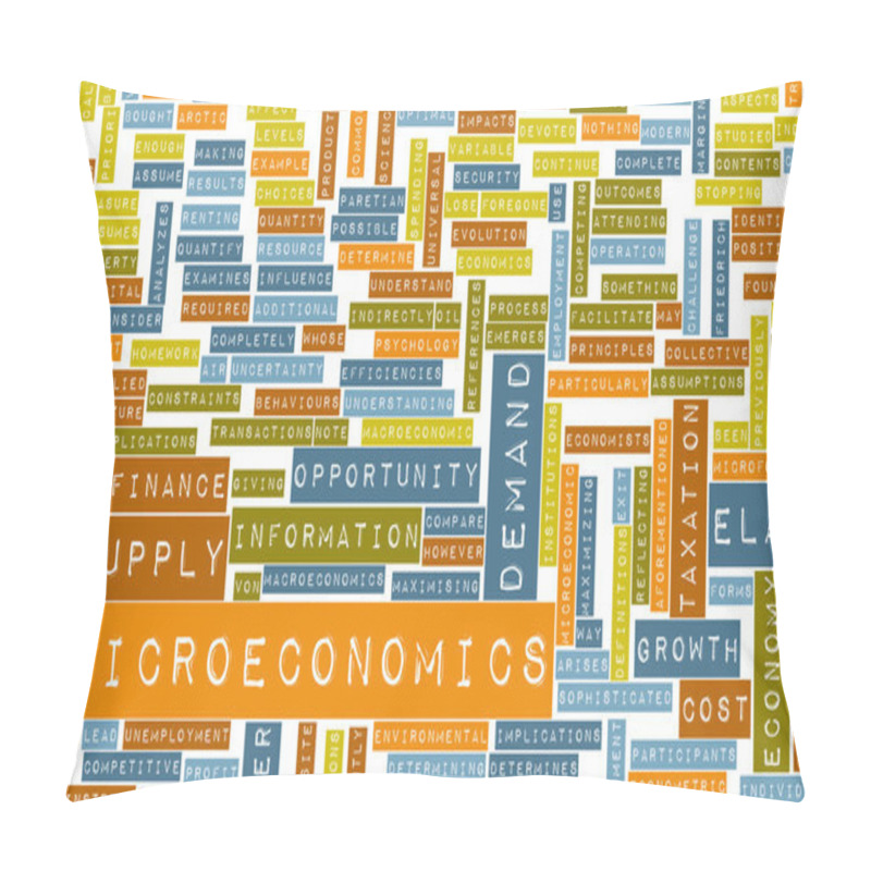 Personality  Microeconomics Pillow Covers